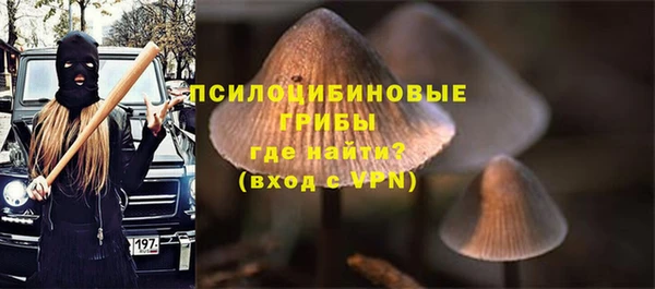 прущий лед Аркадак