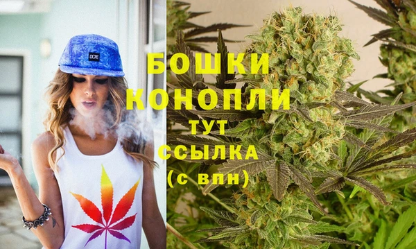 бошки Арсеньев