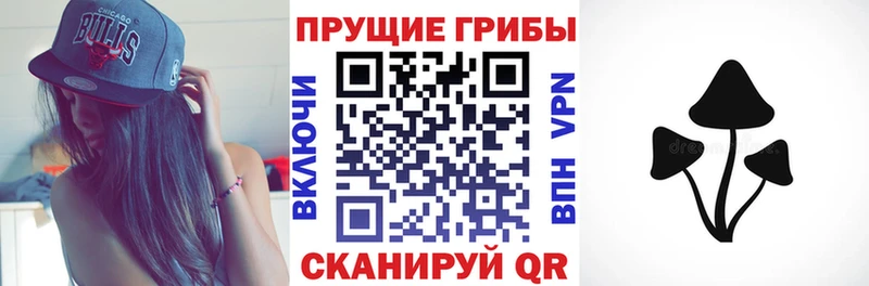 Псилоцибиновые грибы GOLDEN TEACHER  Нарткала 